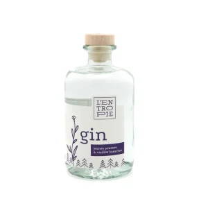 Gin Jeunes pousses et vieilles branches Distillerie L’Entropie