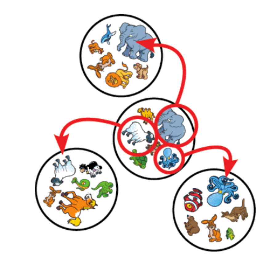 DOBBLE KIDS Animaux – Image 4